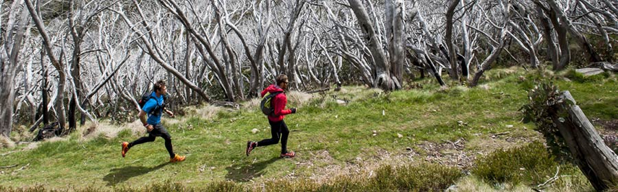 Mountain High Fun Run