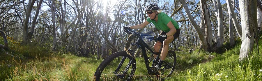 Blue Dirt Buller Blow Out